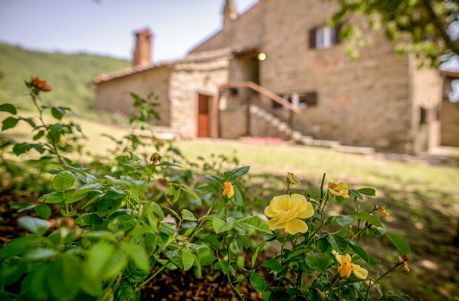 Prenota la tua vacanza in Toscana in Agriturismo a Cortona e Castiglion Fiorentino